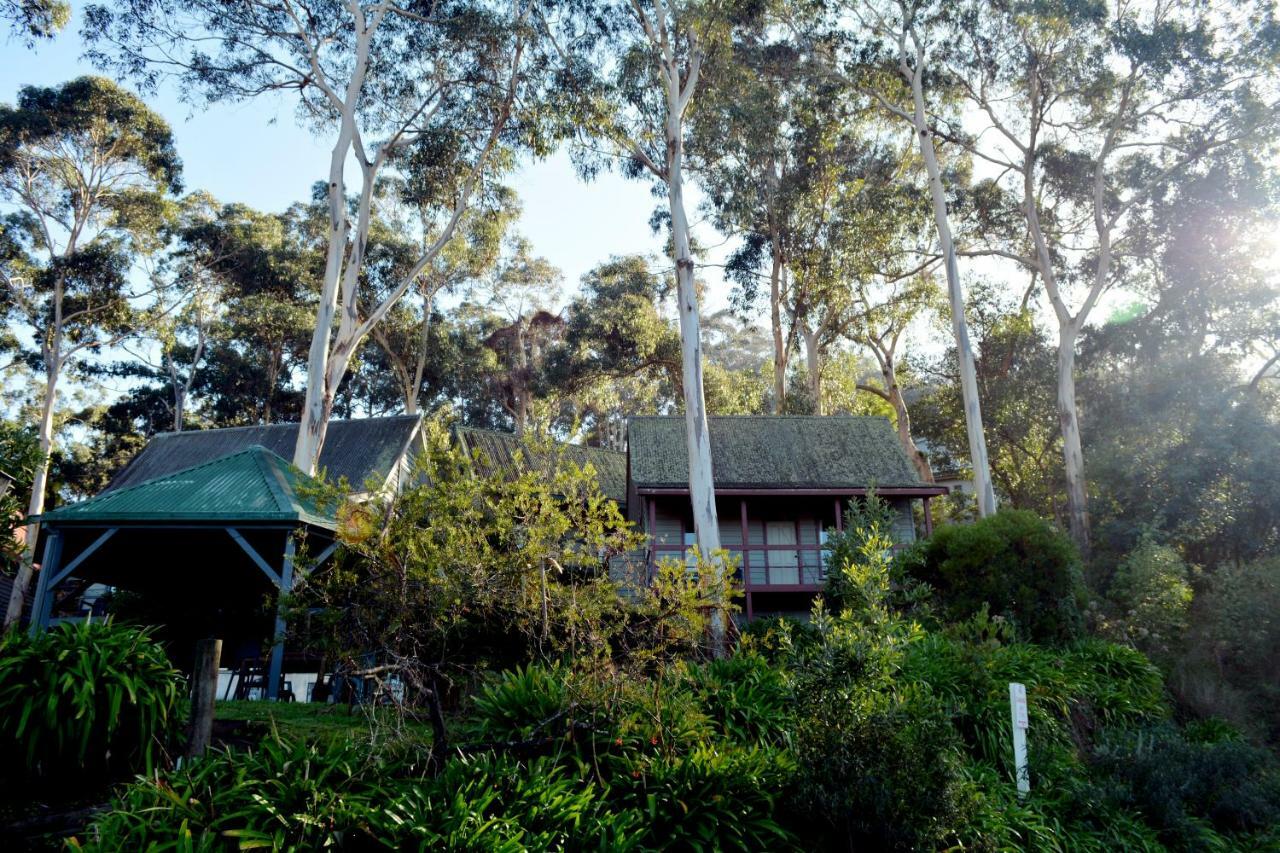 Great Ocean Road Cottages Lorne Exterior photo